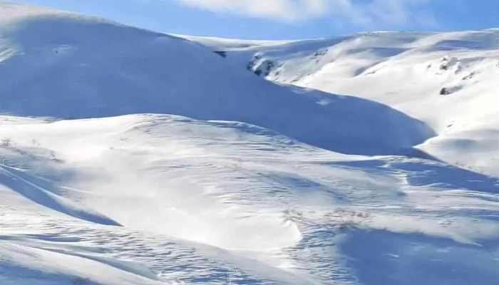 Kvamskogen -  Vinter - Norheimsund