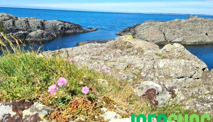 Kvitsoy Hav - Kvitsøy