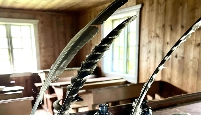 Lands Museum -  Instagram - Dokka