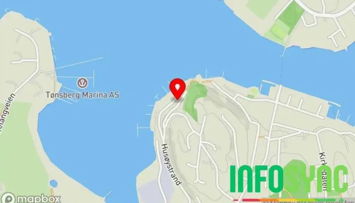 kart over Lars Ness Rørvik Consult IT-konsulent i Husøysund