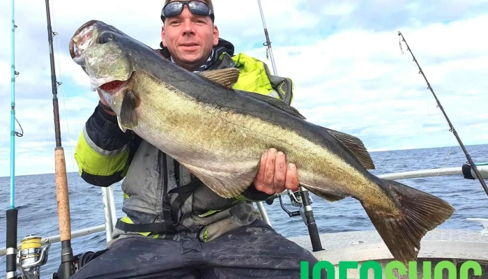 Leka Brygge -  Fisk - Leka