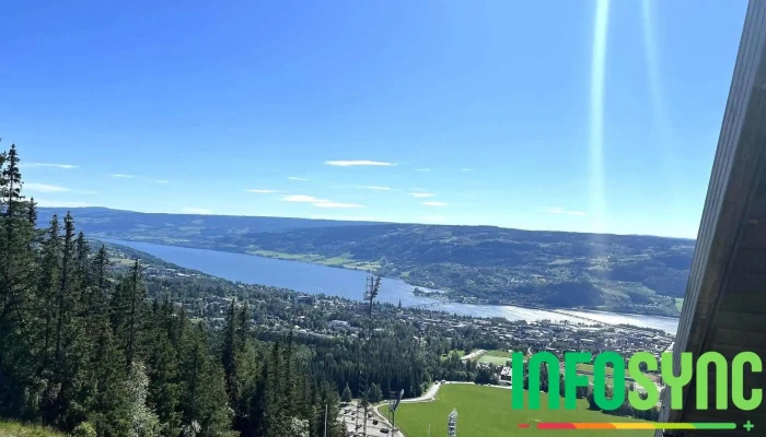 Lillehammer View Point -  Skog - Lillehammer