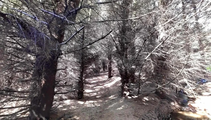 Listastrendene -  Street View 360deg - Vanse