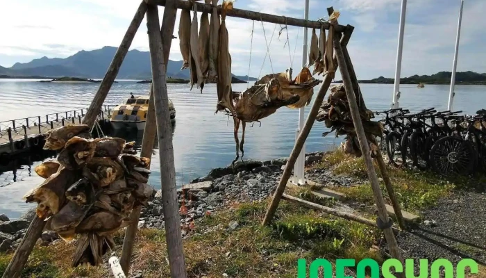 Lofotterminalen As - Leknes