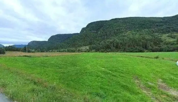 Lone -  Alle - Tørdal