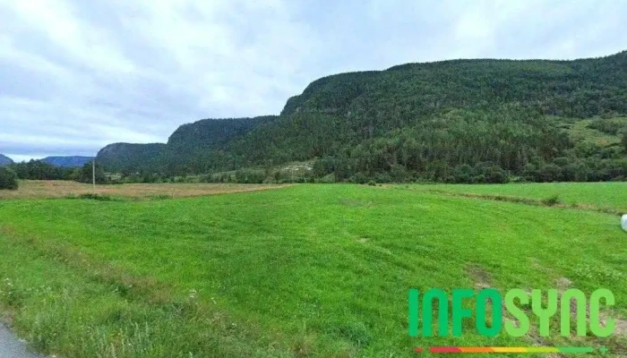 Lone - Tørdal