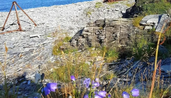 Loppa -  Strand - Loppa