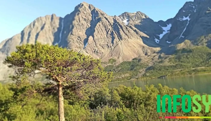 Lyngen Kommune -  Alle - Lyngen Kommune