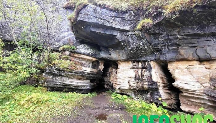 Lønngangen - Inndyr