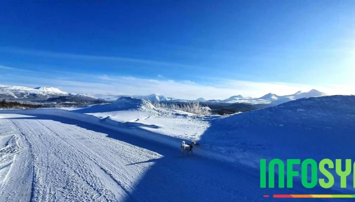 Malselv Skytterlag Alle - Bardufoss