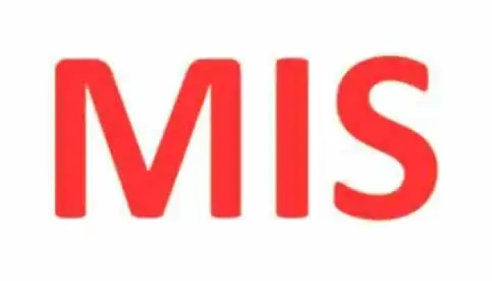 Mis   Moss Isolasjonsservice As Fra Eieren - Moss