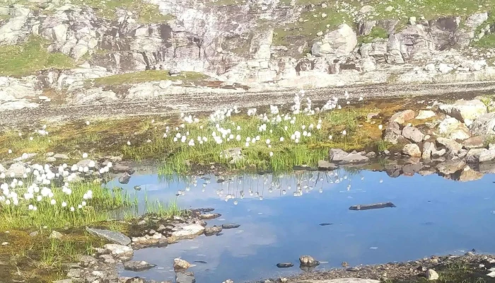 Modalen -  Eksingedalen Billag As Område - Eidslandet
