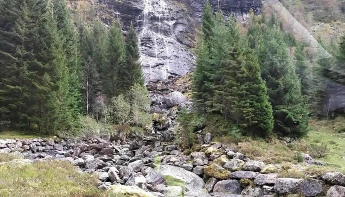 Modalen Pensjonat -  Fra Besokende - Modalen