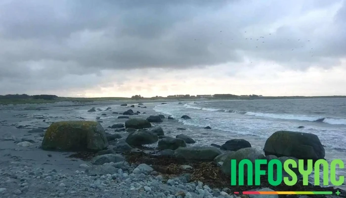 Naerbo Videoer - Nærbø