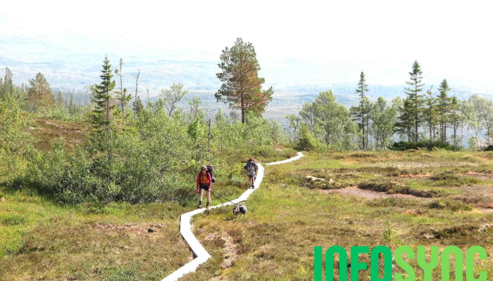 Namsskogan Fjellstyre -  Fra Eieren - Namsskogan