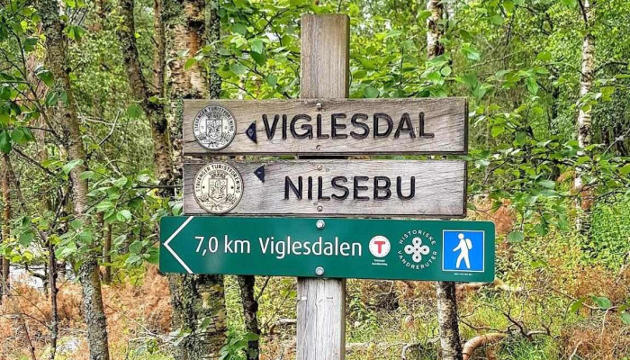 Nes -    Parking Spot Entryplace To Viglesdalen Hiafossen And More Tegn - Årdal