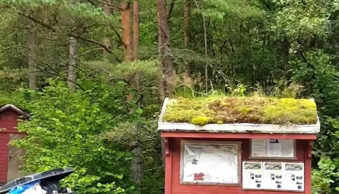 Nes -    Parking Spot Entryplace To Viglesdalen Hiafossen And More Videoer - Årdal
