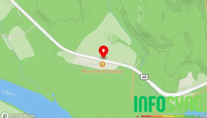 kart over Neset skysstasjon Bussholdeplass i Flesberg