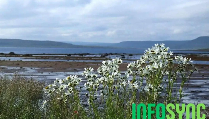 Nesseby naturreservat - Norge