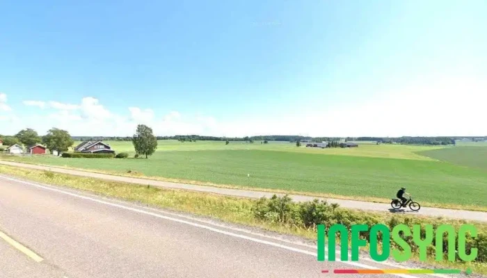 Norgeshus - Veggelementer As - Ås