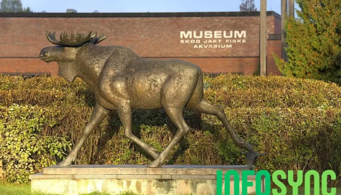 Norsk Skogmuseum -  Alle - Elverum