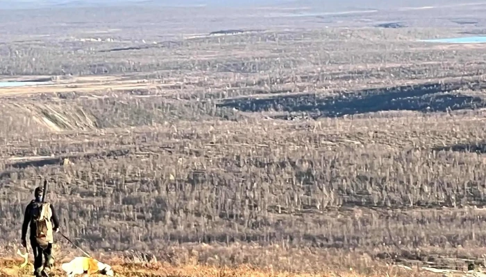 Norvilt Lodge Kautokeino -  åpen Nå - Kautokeino