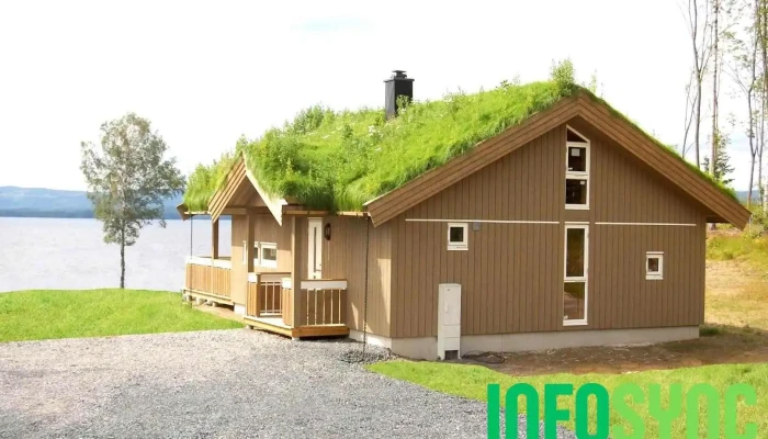 Odølingen Eiendom As - Austvatn