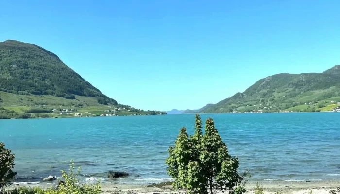 Olen Alle - Ølen