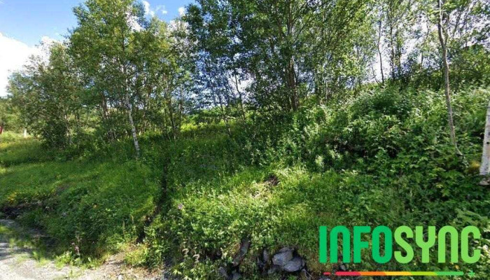 Områdesikring As - Inndyr