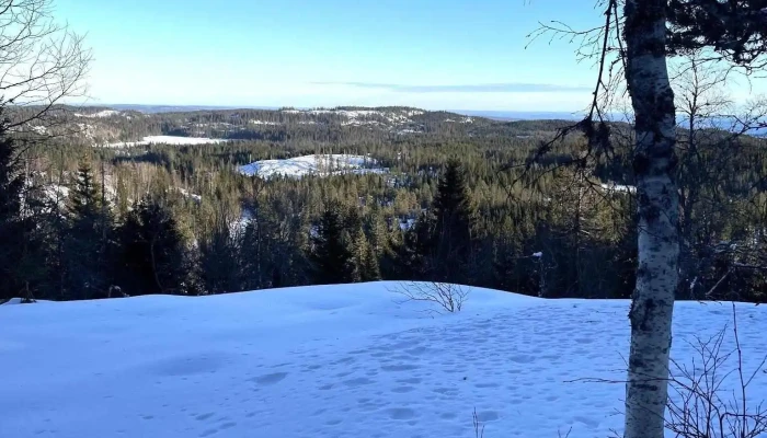 Presteseteråsen - Norge