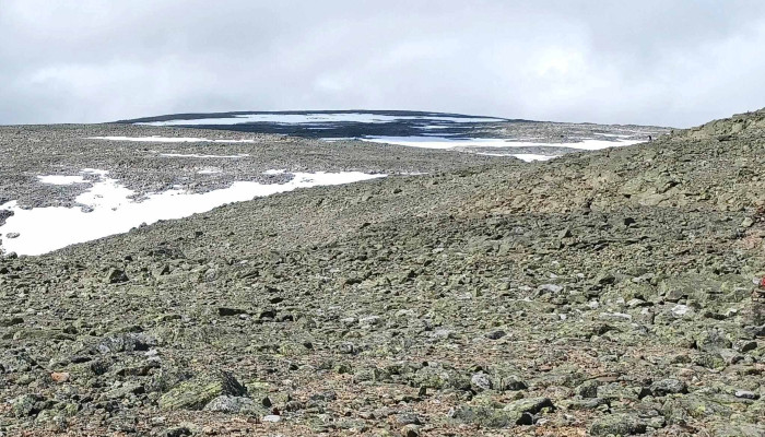 Prestholtseter -  Bilder - Geilo
