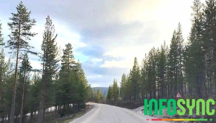 Rendalen Utsikt -  Sist Opplastet - Rendalen