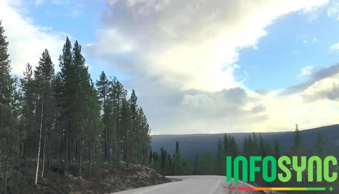Rendalen Utsikt -  Videoer - Rendalen