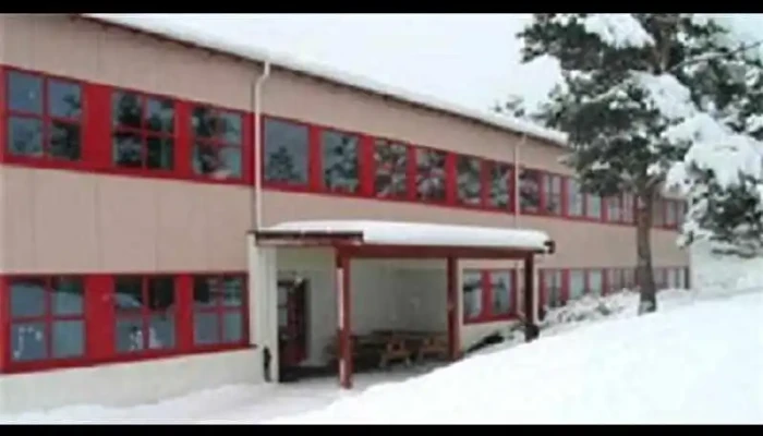 Rensvik Barneskole -  Fra Eieren - Frei