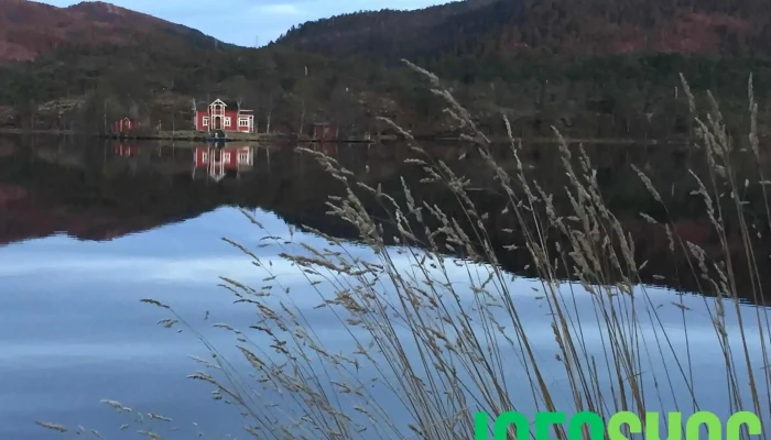 Rensvikvatnet -  Fjell - Frei