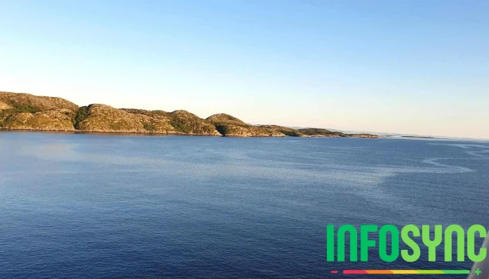 Rorvik Videoer - Rørvik