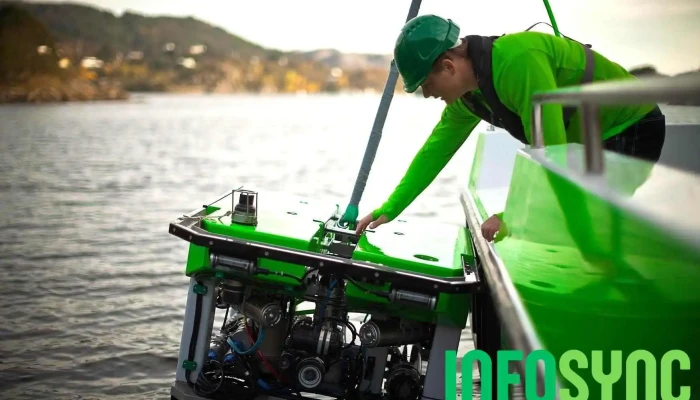 Rov As - Rong