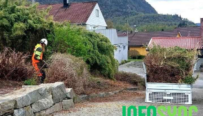Ryfylke Bygdeservice Sa -  Fra Eieren - Tau