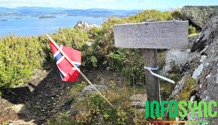 Sangoltshornet -  Fjell - Skogsvåg