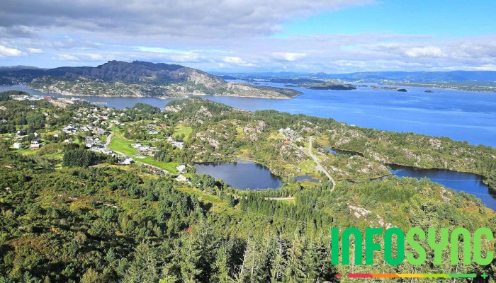 Sangoltshornet - Skogsvåg
