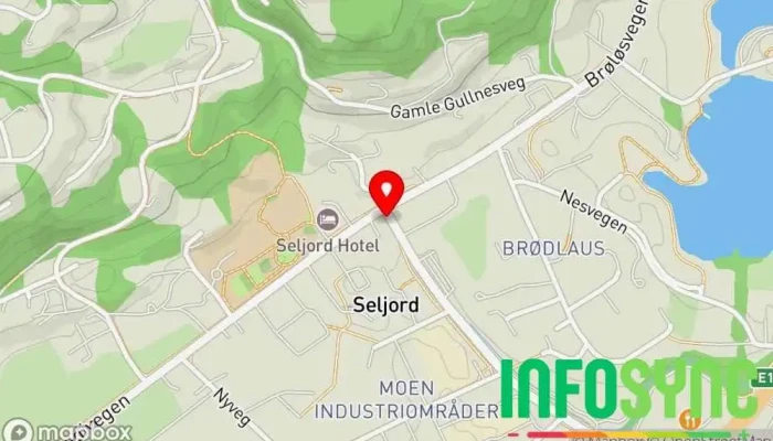 kart over Seljord  i Seljord