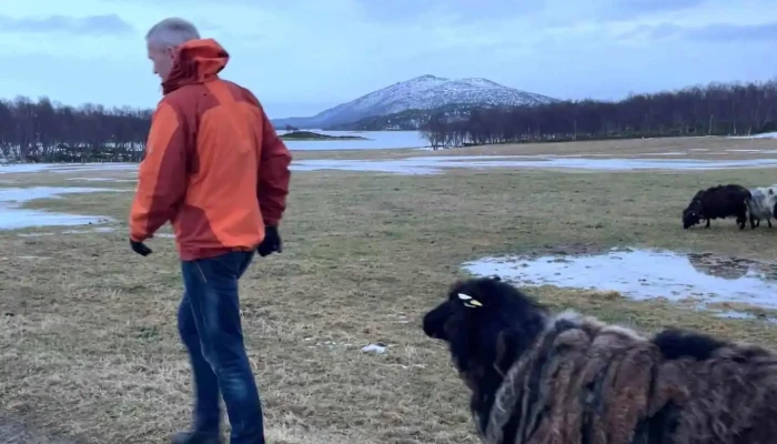 Senja Moments Tranoya Videoer - Vangsvik