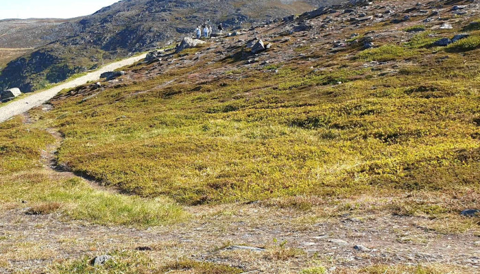 Sikksakkveien -  Nær Meg - Hammerfest