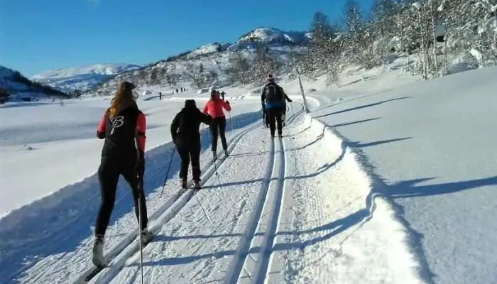 Sinneshyttå bygg As - Tjørhom