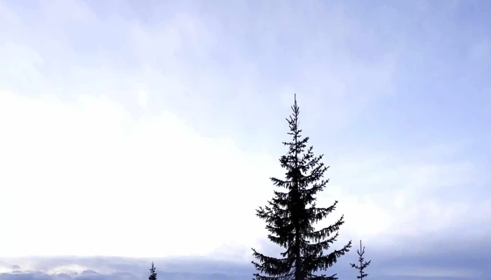 Skistar Trysil Rabatter - Trysil