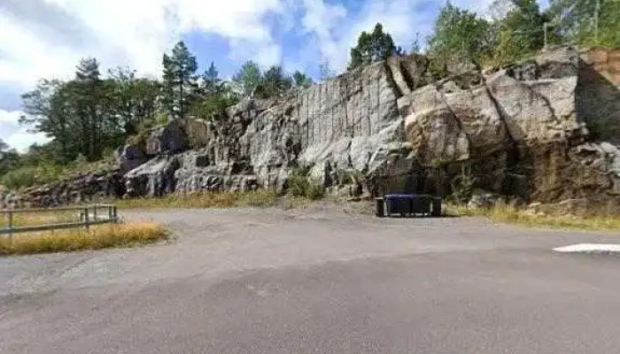 Skybjerka -  Alle - Larvik