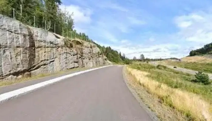 Skybjerka -  Alle - Larvik