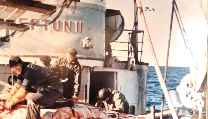 Snoy -  Hvordan Komme Dit - Honningsvåg