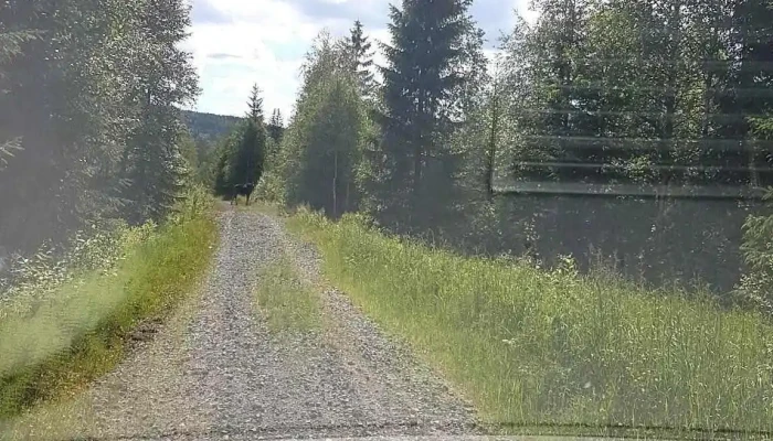 Sor Odal Alle - Sør-odal