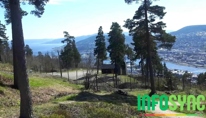 Spiralen -  Videoer - Drammen